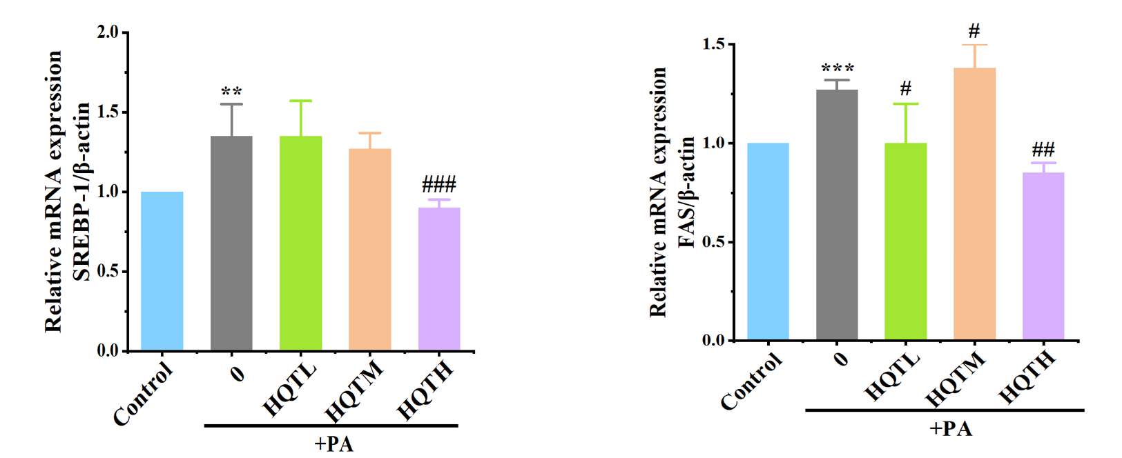 控油,體外功效,皮膚,皮脂