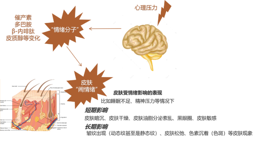 化妝品,評價,皮膚情緒,護(hù)膚