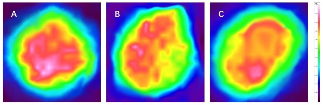 體外真發(fā),頭發(fā)熱損傷,模型研究,CIRS,功效評價,技術(shù)實(shí)踐