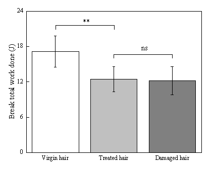 體外真發(fā),頭發(fā)熱損傷,模型研究,CIRS,功效評價,技術(shù)實(shí)踐
