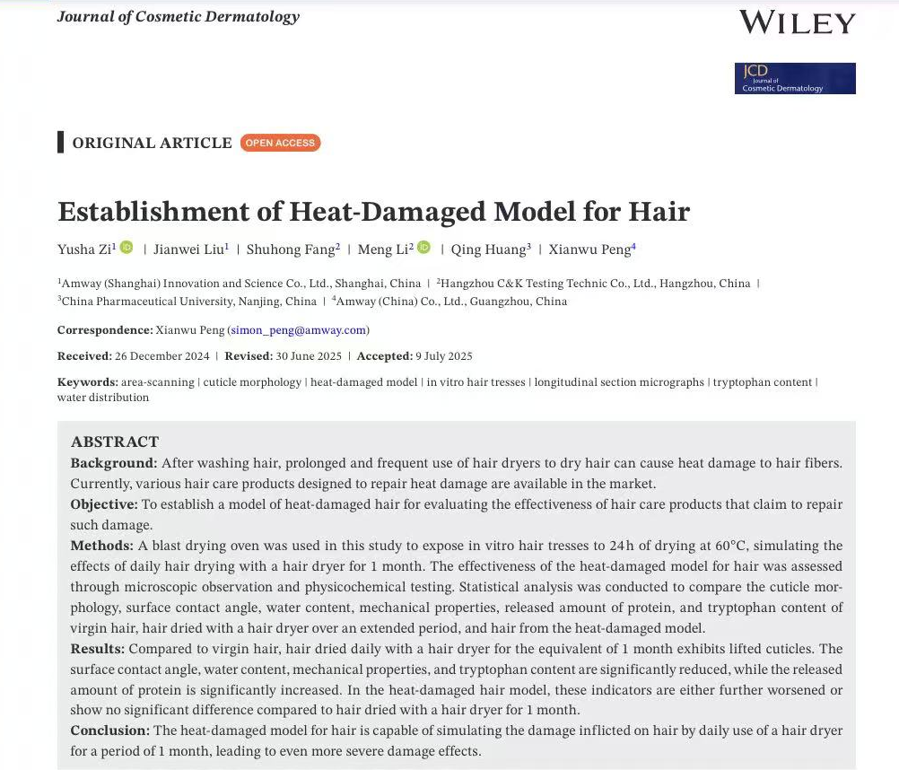 體外真發(fā),頭發(fā)熱損傷,模型研究,CIRS,功效評價,技術(shù)實(shí)踐