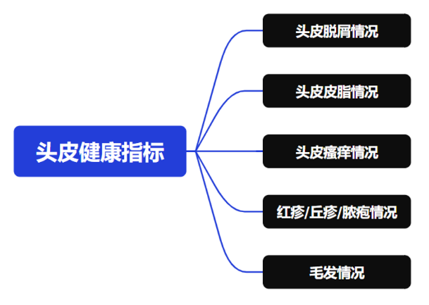 頭皮健康,紅斑,,丘疹,膿皰,評價(jià)方法