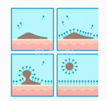 洗發(fā)水,頭發(fā),洗發(fā)水配方,去屑止癢,氨基酸型洗發(fā)水,無(wú)硅油洗發(fā)水