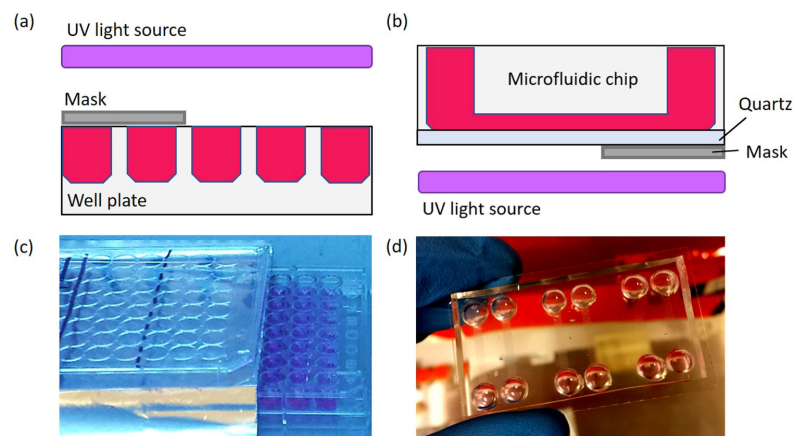 新型皮膚,芯片,化妝品安全,功效評價(jià)