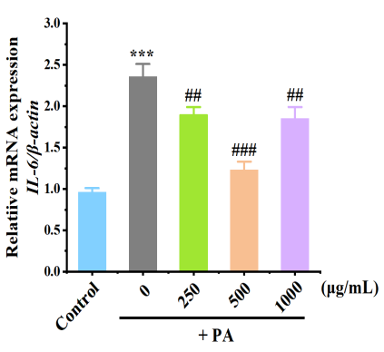 體外細胞培養(yǎng),模型,化妝品抗衰,功效評價