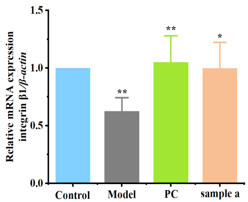 體外細胞培養(yǎng),模型,化妝品抗衰,功效評價
