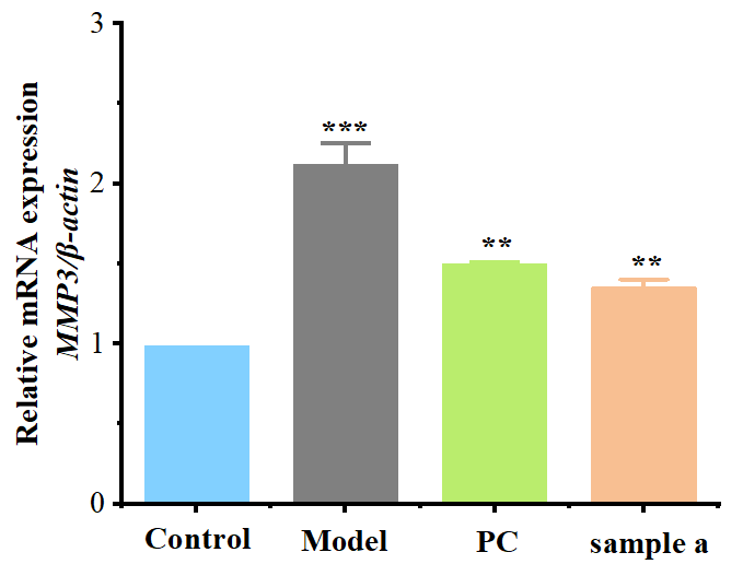 體外細胞培養(yǎng),模型,化妝品抗衰,功效評價