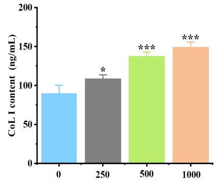 體外細胞培養(yǎng),模型,化妝品抗衰,功效評價