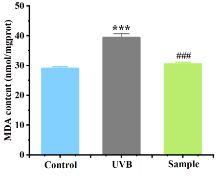 體外細胞培養(yǎng),模型,化妝品抗衰,功效評價